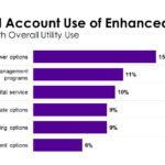 Managed Account Use of Enhanced Programs